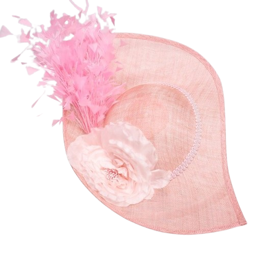 Sanchi | Flowers and Feathers Sinamay Fascinator