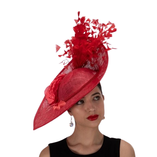 Sanchi | Flowers and Feathers Sinamay Fascinator
